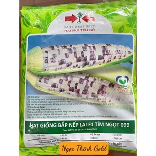 Hạt giống Bắp nếp lai F1 Tím Ngọt 099 (500g) _Hai mũi tên đỏ