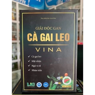 Cà gai leo Vina