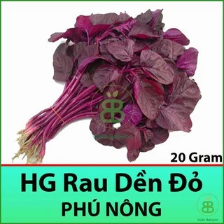 Hạt Giống Rau Dền Đỏ Cao Sản 20Gr, Dễ Trồng, Bổ Dưỡng