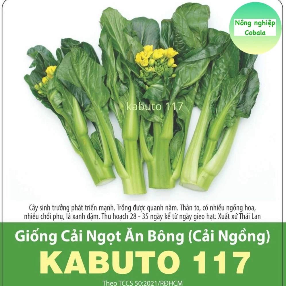 Hạt Giống Cải Ngồng/Cải Ngọt Ăn Bông (KABUTO117) 10gr