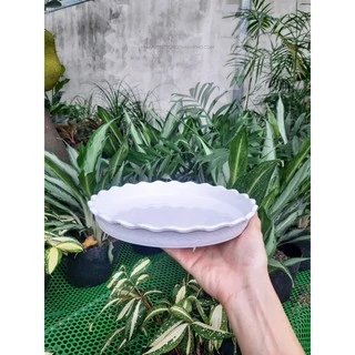 Dĩa Lót Chậu Tròn 26cm (nhựa cứng, màu trắng)