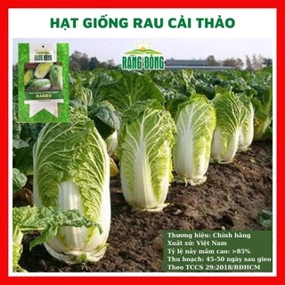 Hạt giống cải thảo chịu nhiệt Hàn Quốc giòn ngọt - rau củ quả trồng chậu, sân vườn ban công nảy mầm cao 0.5gr RAMBO