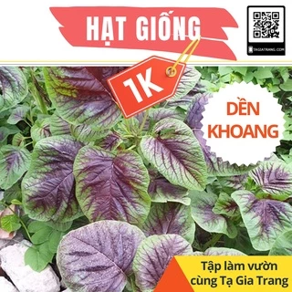 Deal 1K - 100 Hạt giống rau dền khoang (rau dền tía) - Tập làm vườn cùng Tạ Gia Trang