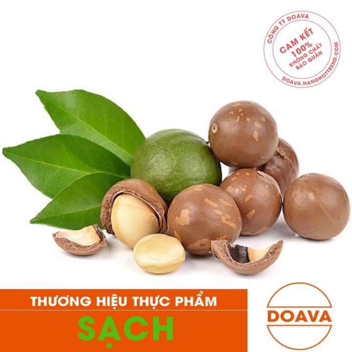 [Handmade] Hạt Macca Nứt Vỏ 500g  - Macadamia, Mắc Ca Loại 1 - DAV024