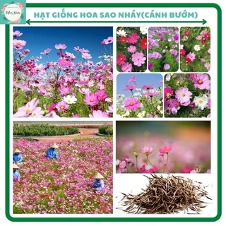 Hạt hoa sao nháy đơn (hoa cánh bướm)- bán theo 50-100gr đã mix màu sẵn(đỏ,hồng,trắng,vàng,cam)