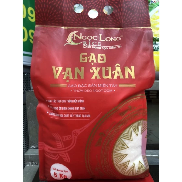 Gạo thơm thượng hạng Vạn Xuân 5kg - ST25 lúa tôm