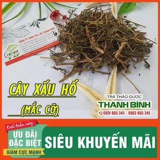 Cây Xấu Hổ (Mắc Cỡ) Khô 1Kg - Hàng Loại 1 - Dược Liệu Thanh Bình