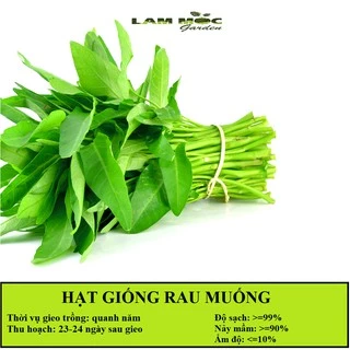 Hạt giống rau muống, trồng quanh năm - Gói 50gram