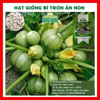 Hạt giống bí tròn ăn non - rau củ quả trồng chậu, sân vườn ban công ngon giòn ngọt nảy mầm cao 5 hạt RADO131