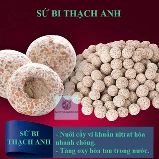 Sứ Bi Thạch Anh - Sứ Bi Đài Loan