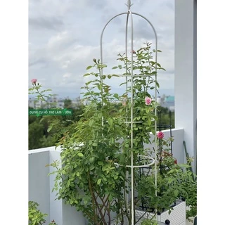Giá đỡ hoa hồng leo khung tháp chuông Cao 2.1 met Khung trồng hồng leo