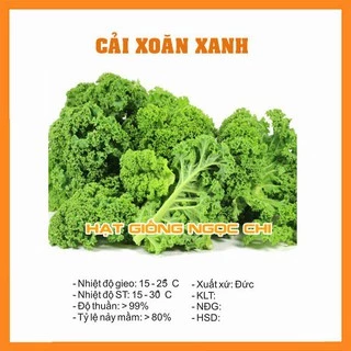 Hạt Giống Rau Cải Xoăn Xanh (Cải Xoăn Kale) - 0.5Gr - Khoảng 50 Hạt