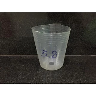 Chậu mềm dẻo trắng  3.8in(12cm) 20cai=30k