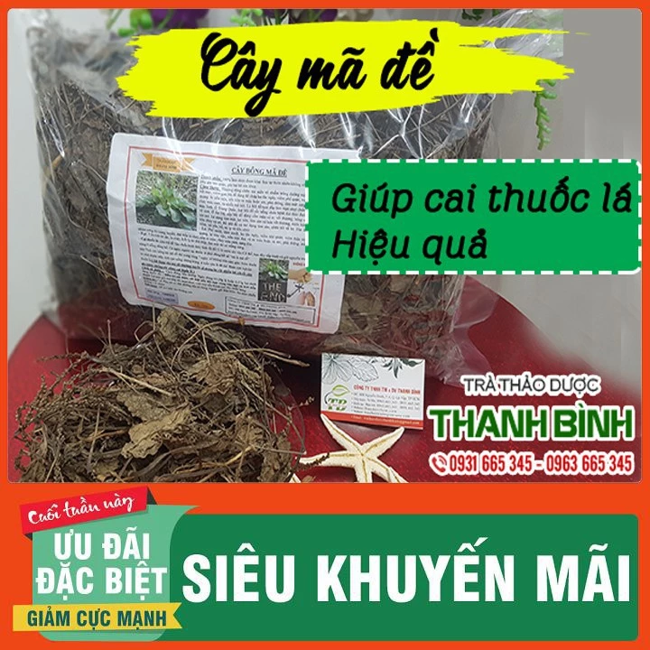 Cây Mã Đề Khô 500g - Thảo Dược Loại 1