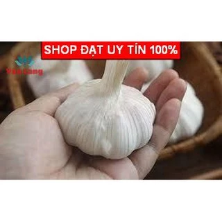 1Kg tỏi nhánh củ to loại 1 siêu ngon - củ tỏi khô