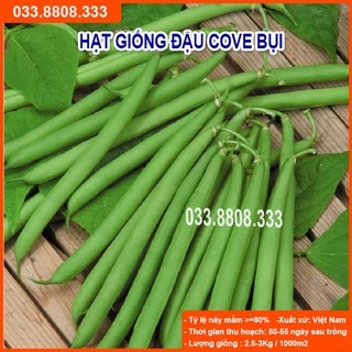 Hạt Giống Đậu Cove Bụi 50gram -Tỷ Lệ Nảy Mầm Cao