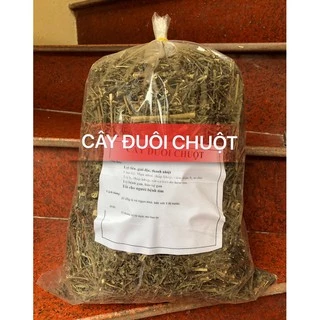 1kg cây đuôi chuột (cây mạch lạc) khô hàng chuẩn loại 1