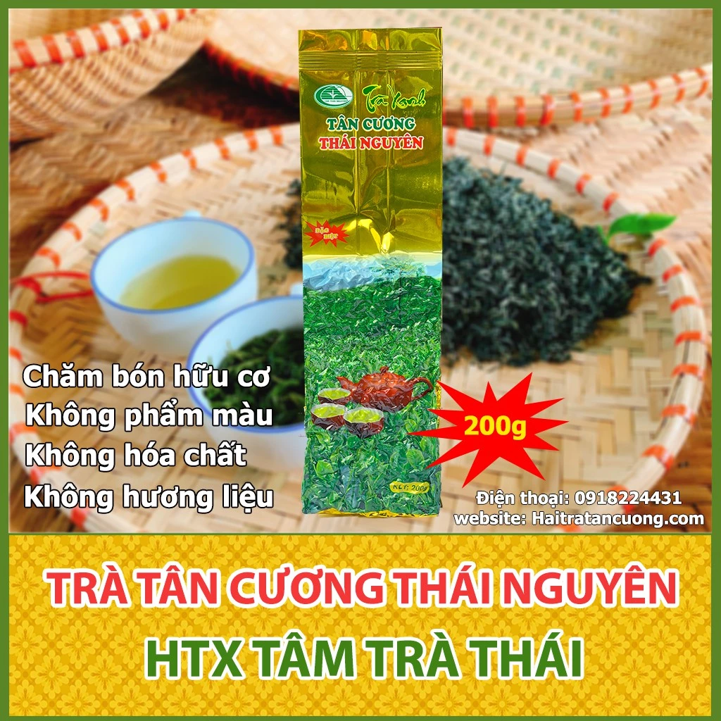 Trà xanh Thái Nguyên 200g - Hải Trà Tân Cương