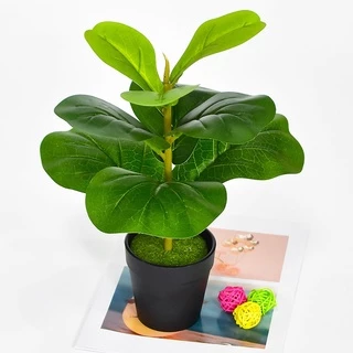 Cây Bàng Singapore Mini Cao 35cm - Cây Hoa Giả Trang Trí Lizflower [Không Kèm Chậu