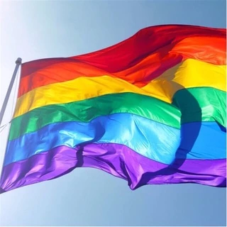 Vải lục sắc LGBT (1mx1m5) làm phông nền - cờ trang trí