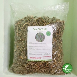 Cây cỏ xước khô [1KG] - Dược liệu cực tốt cho xương khớp