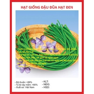 Hạt giống đậu đũa cao sản hạt đen KNS1062 - Gói 10gram