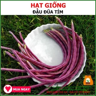 Hạt Giống Đậu Đũa Tím Chịu Nhiệt Rạng Đông 10gram