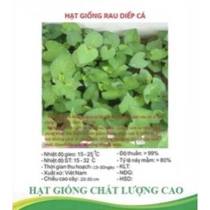 Hạt giống rau diếp cá - gói 20 hạt