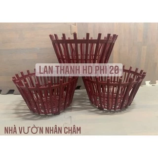 Chậu trồng lan- lan thanh hd phi 20 hàng chuẩn