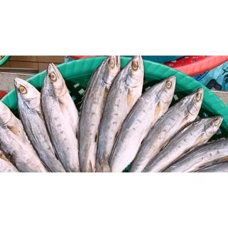 Khô cá bè - Đặc sản Cà Mau