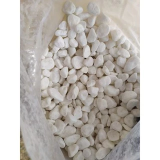 Bịch Sỏi Trắng Viên Vừa (1-2cm) Trang Trí Hồ Cá - Phụ Kiện Bể Cá- 1Kg