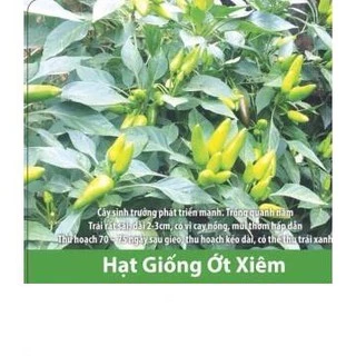 Hạt Giống Ớt Xiêm Cao Sản Siêu Trái 0.1gr