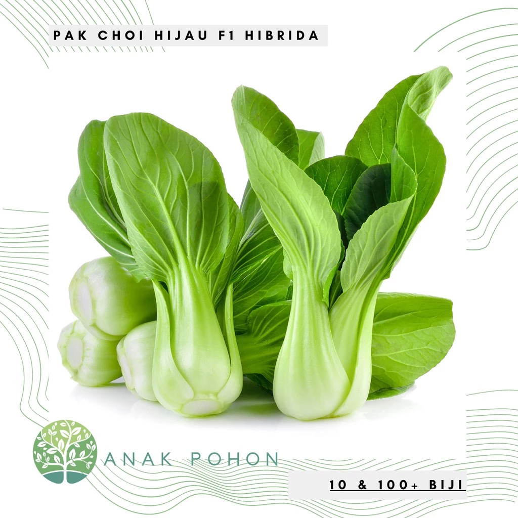 hạt giống cải Pak Choi cải ngọt 100h