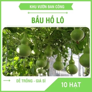 Hạt giống Bầu Hồ Lô Cao Sản Gía Dùng Thử - Khu Vườn Ban Công