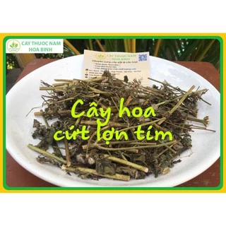 1kg cây hoa cứt lợn hoa tím/thân tím, cỏ hôi (khô, sạch, mới)