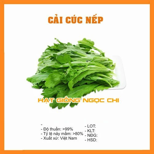 Hạt Giống Rau Cải Cúc Nếp - 20Gr~2500 Hạt