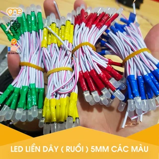 Led liền dây 5v 100 bóng các màu chuyên làm biển quảng cáo