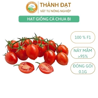 Hạt giống cà chua bi F1 dễ trồng, dinh dưỡng cao - gói 0.1gr~40-50 hạt