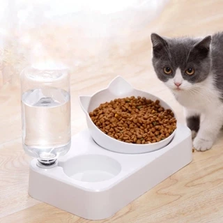 Ship hỏa tốc - Bát ăn cho mèo chó thú cưng có đế chống lật chống gù và bình nước tự động bằng nhựa hình tai mèo