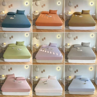 Bộ ga giường Lidaco Cotton Tici Notag tone màu pastel ga bo chun