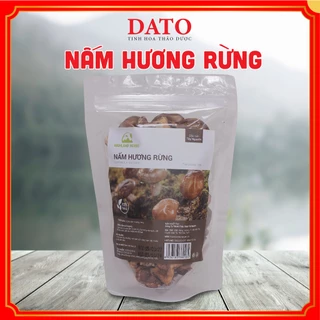 Nấm hương rừng Kon Tum, nấm đông cô rừng, nấm rừng