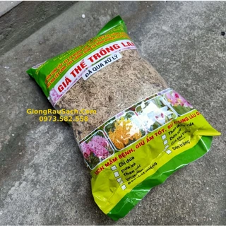 Rêu Rừng Trồng Hoa Lan 200gr