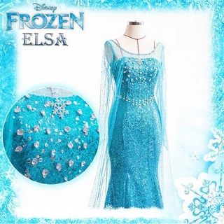 Người lớn đáng yêu Frozen Elsa Snow Queen Cosplay Váy dự tiệc công chúa