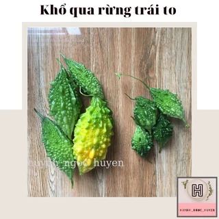 Hạt giống (10H) khổ qua rừng trái to