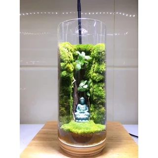 Bình Terrarium( đã setup thực vật bên trong) tiểu cảnh kích thước nhỏ để góc học tập. quà tặng....