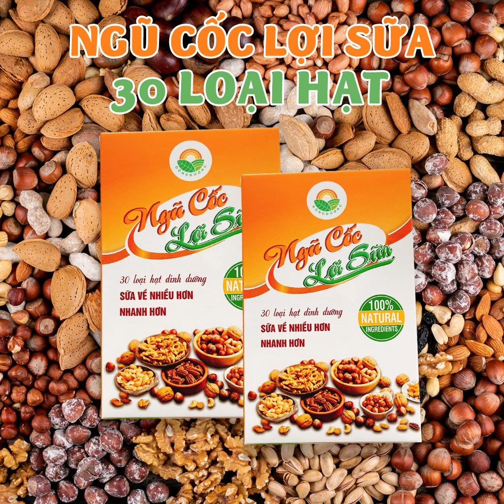 Ngũ Cốc Lợi Sữa Chính Hãng Đông Dương 30 Loại Hạt 500g - Lợi Sữa Cao Cấp