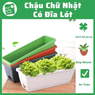 Chậu chữ nhật có đĩa lót hứng nước (49*15*17.5cm), trồng rau và hoa nhiều màu