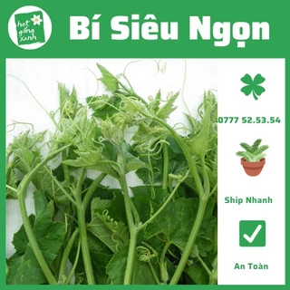 Bí Siêu Đọt (10gr) phù hợp khí hậu VN