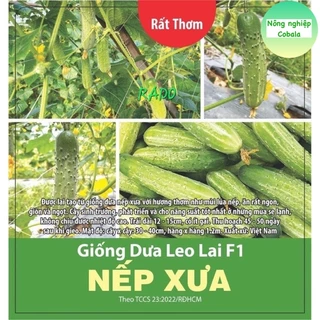 Hạt Giống Dưa Leo Lai F1 (Nếp Xưa) 0.5gr