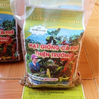 1 kg hạt giống cà phê Thiện Trường cao sản